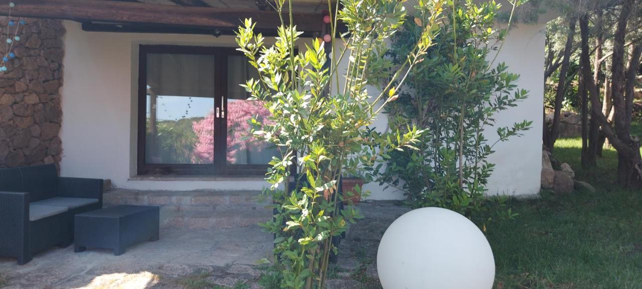 Domus 3* Liscia di Vacca