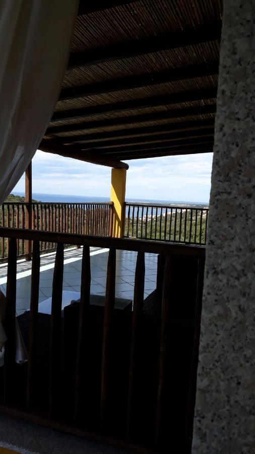 Domus 3* Liscia di Vacca