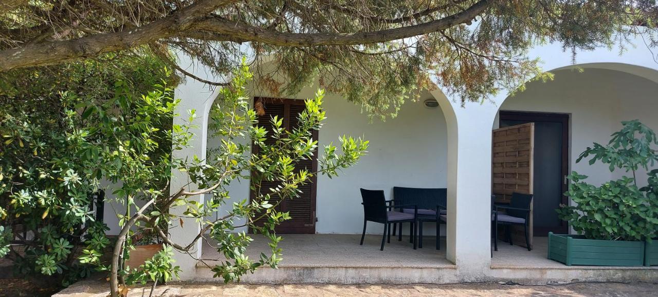 Domus Aparthotel 3*