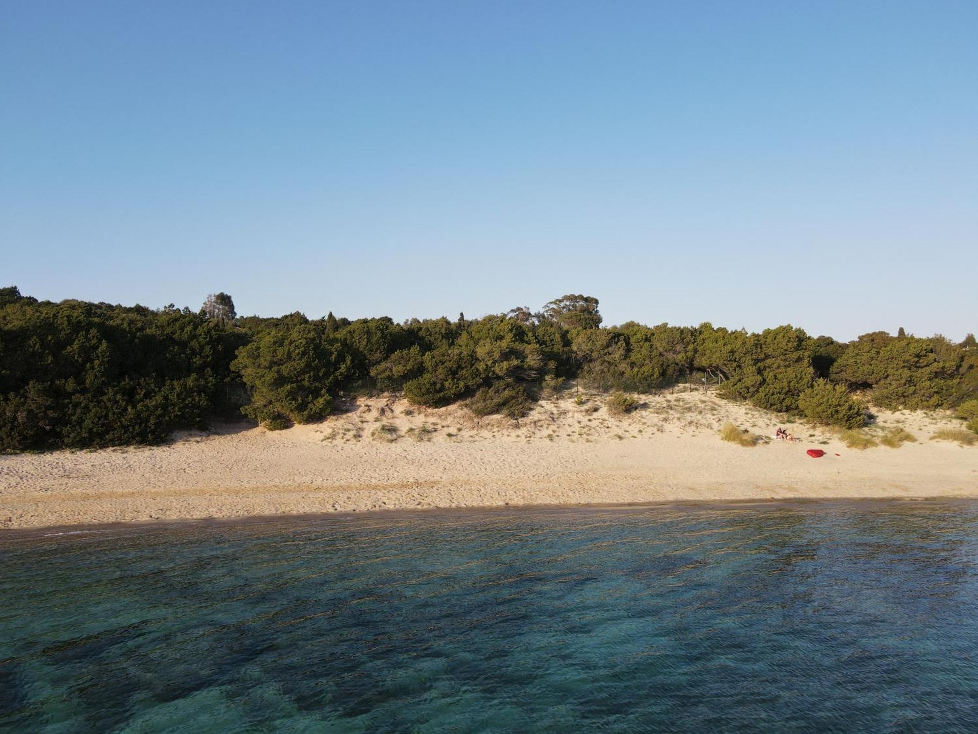 Domus Aparthotel 3*