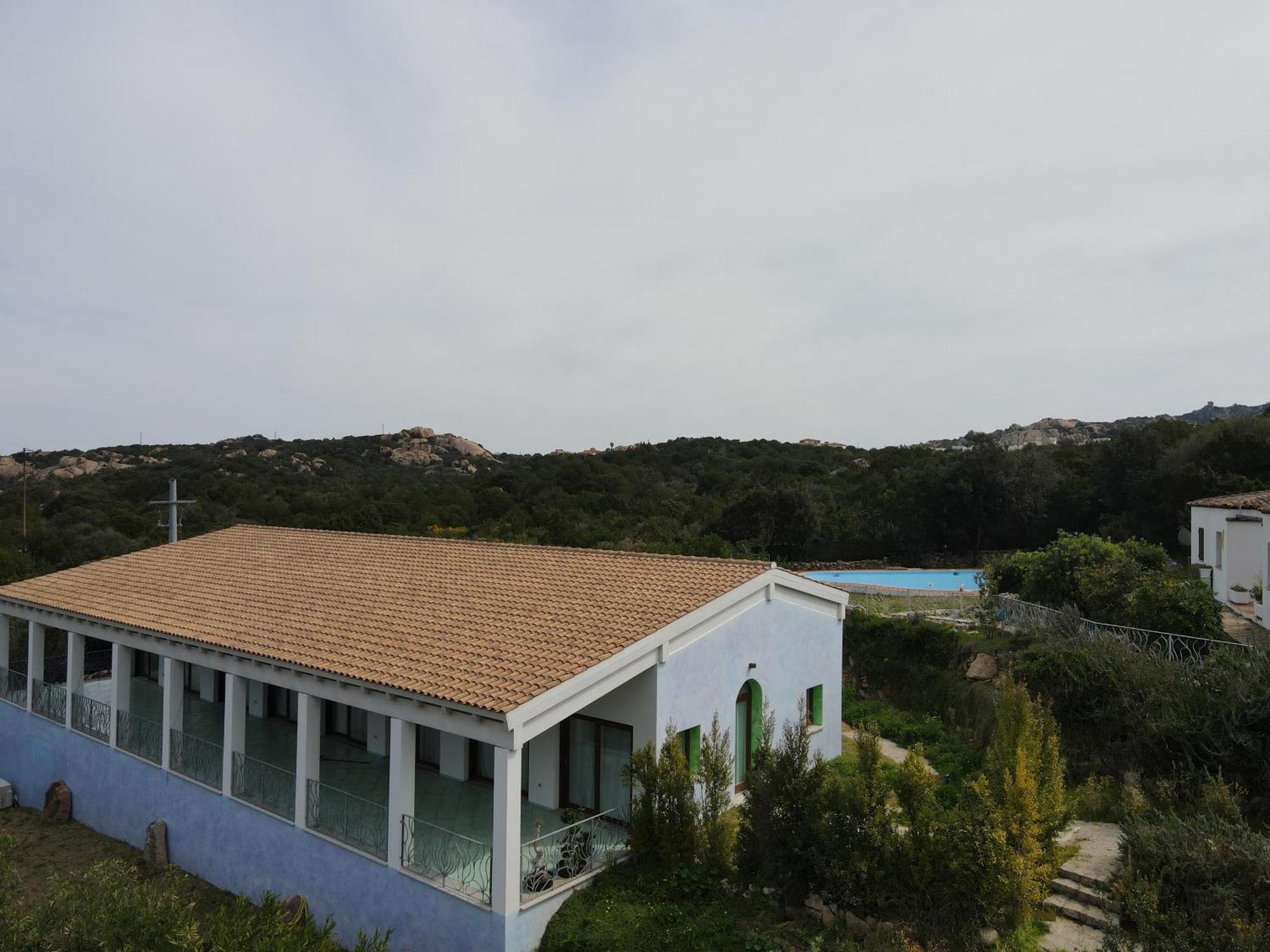 Domus